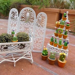 White garden furniture and Cactus