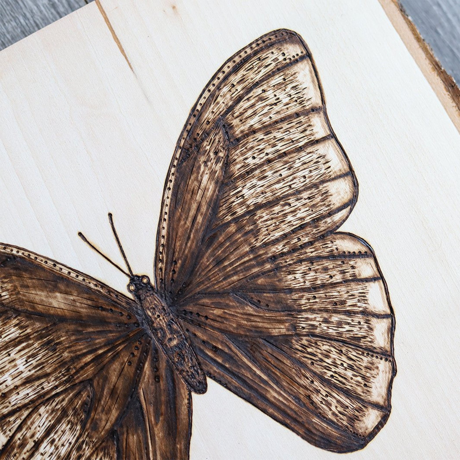 Butterfly Wood Burned Sign Wood Burning Art Pyrography Art Etsy