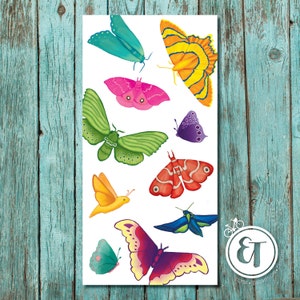 Bright Moth 2