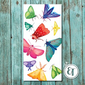 Bright Moth 1