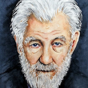 Watercolor commission - aquarelle portrait - colorful portrait - character commission - custom portrait - classic portrait - Memorable gift