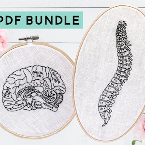DIY Brain and Spine Embroidery Bundle, Vintage Anatomy Pattern, Embroidery PDF Pattern, Physical Therapist Gift, Instant Digital Download