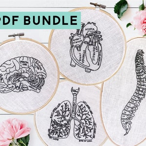 Anatomy Embroidery Pattern Bundle, Nurse Embroidery Guide, DIY Medical Pattern, Anatomical Brain Heart Lungs Spine, Instant Digital Download