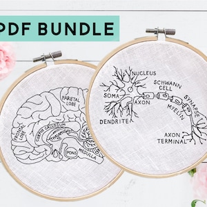 Neurology Embroidery Bundle, DIY Brain & Neuron Anatomy Embroidery, Instant Digital Download, Medical Embroidery, Brain Embroidery Pattern