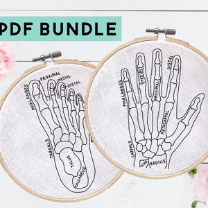 May include: Two embroidery hoops with black line drawings of the bones in a hand and foot. The bones are labeled with anatomical terms, including "phalanges", "carpals", "tarsals", "metacarpal", "radius", "ulna", "talus", and "calcaneus".