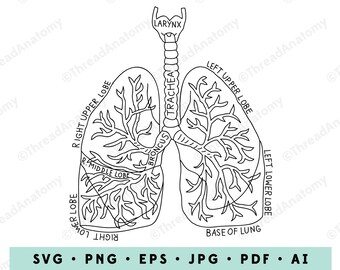 Free Free 181 Flower Lungs Svg SVG PNG EPS DXF File