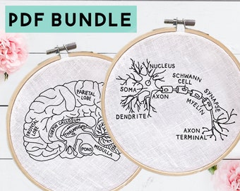 Pacote de bordado de neurologia, bordado de anatomia cerebral e de neurônios DIY, download digital instantâneo, bordado médico, padrão de bordado cerebral
