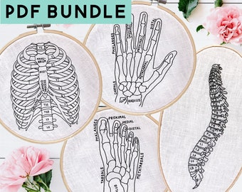 Anatomy Embroidery Pattern Bundle, Ribs Hand Foot Spine, Physical Therapist Embroidery, Skeletal System, Medical Pattern, Digital Download