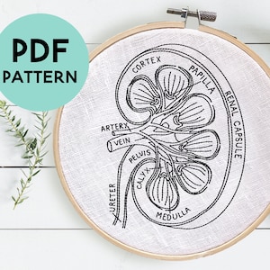 Wzór haftu na nerkę DIY, Anatomia nerki, Wzór haftu medycznego, Prezent na przeszczep nerki, Prezent dla urologa, Pobieranie cyfrowe