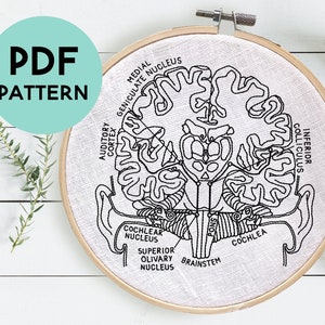 DIY Audiology Embroidery Pattern, Central Auditory System Anatomy, Audiologist Embroidery, Science Embroidery, Embroidery Hoop Art