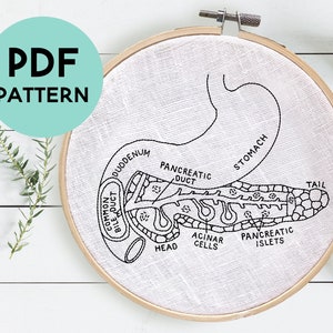 DIY Pancreas Embroidery Pattern, Pancreas Anatomy Art, Medical Embroidery Pattern, Pancreatitis, Endocrinologist Gift, Pancreatic Cancer