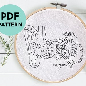 DIY Ear Anatomy Embroidery Pattern, Inner Ear Anatomy Art, Audiologist Embroidery, Digital Download, Science Embroidery, Embroidery Hoop Art