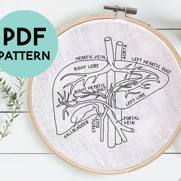 Liver Anatomy Embroidery Pattern, Medical Embroidery, Hepatologist, Hepatology, Nursing Student, Gastroenterologist, Liver Embroidery Art