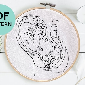 DIY bordado de anatomía del embarazo, patrón de feto en el útero, descarga digital PDF, regalo de bordado de embarazo, regalo de baby shower, bordado a mano