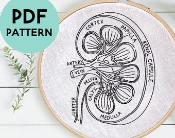 DIY Kidney Embroidery Pattern, Kidney Anatomy Art, Medical Embroidery Pattern, Kidney Transplant Gift, Urologist Gift, Digital Download