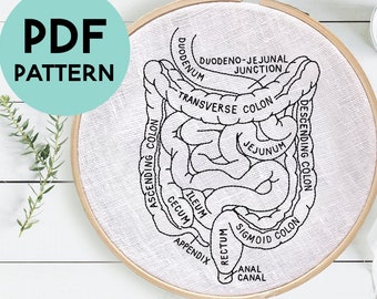 Intestines Anatomy Embroidery Pattern, Intestinal Anatomy, Medical Embroidery, Nursing Student, Gastroenterologist, Gastroenterology