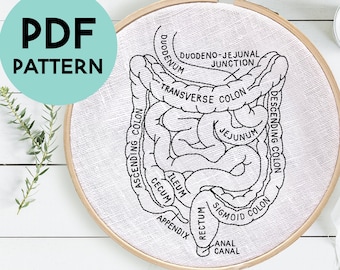 Patrón de bordado de anatomía de los intestinos, anatomía intestinal, bordado médico, estudiante de enfermería, gastroenterólogo, gastroenterología