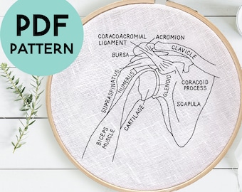 Shoulder Anatomy Embroidery, Shoulder Embroidery, Orthopedic Doctor Gift, Physical Therapist, Anatomical Shoulder, Instant Digital Download