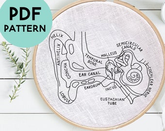 DIY Ear Anatomy Embroidery Pattern, Inner Ear Anatomy Art, Audiologist Embroidery, Digital Download, Science Embroidery, Embroidery Hoop Art