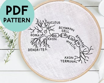 May include: A white embroidery hoop with a black line drawing of a neuron, labeled with the parts of a neuron: dendrite, soma, axon, nucleus, Schwann cell, myelin, synapse, and axon terminal.