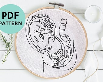 DIY Pregnancy Anatomy Embroidery, Fetus in Utero Pattern, PDF Digital Download, Pregnancy Embroidery Gift, Baby Shower Gift, Hand Embroidery