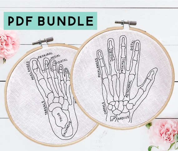 DIY Hand and Foot Anatomy Embroidery Bundle, DIY Occupational Therapist Gift, Medical Embroidery, Anatomy Pattern, Digital Download