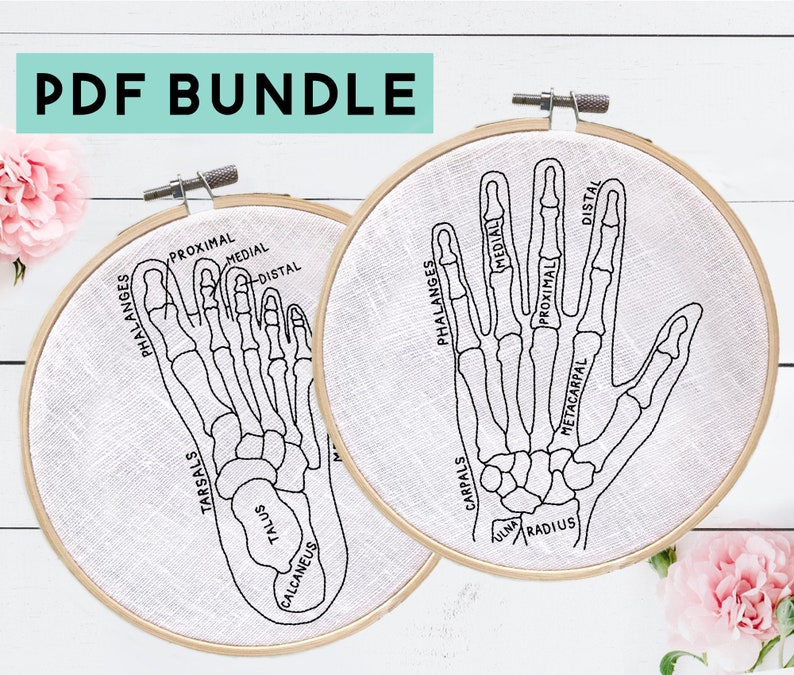 May include: Two embroidery hoops with black line drawings of the bones in a hand and foot. The bones are labeled with anatomical terms, including "phalanges", "carpals", "tarsals", "metacarpal", "radius", "ulna", "talus", and "calcaneus".