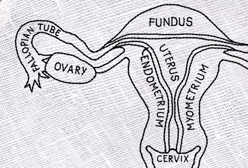 Diy uterus jessecmault pattern feminist jessecmault pattern  etsy
