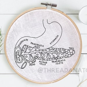 23 Anatomy Embroidery Patterns, Embroidery Pattern Bundle, Medical Patterns, Medical Embroidery, Anatomy Patterns, Whole Shop Bundle Digital image 5