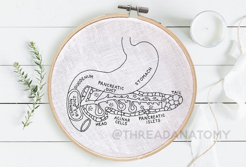 23 Anatomy Embroidery Patterns, Embroidery Pattern Bundle, Medical Patterns, Medical Embroidery, Anatomy Patterns, Whole Shop Bundle Digital image 5