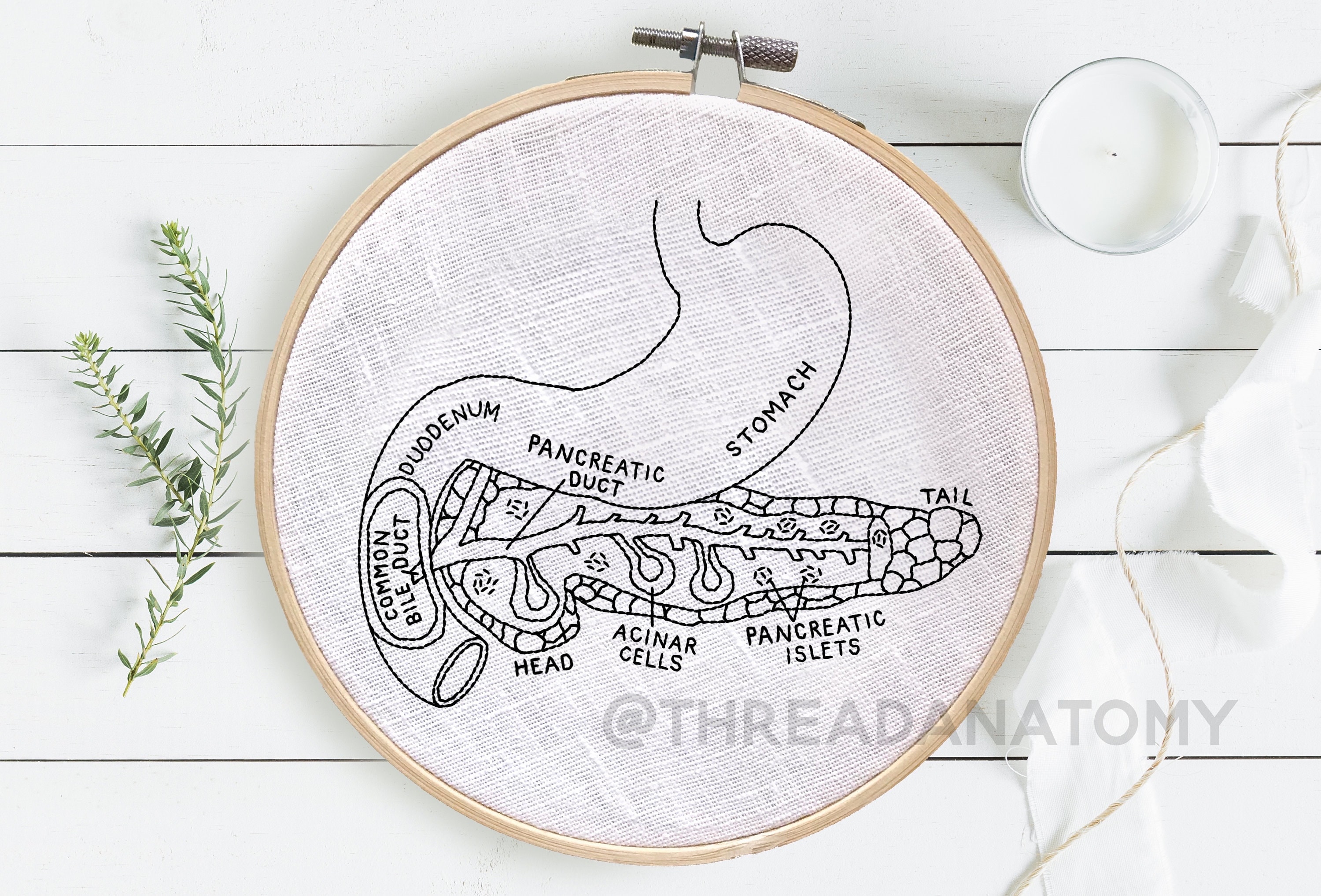 16 Anatomy Embroidery Patterns Embroidery Pattern Bundle Etsy