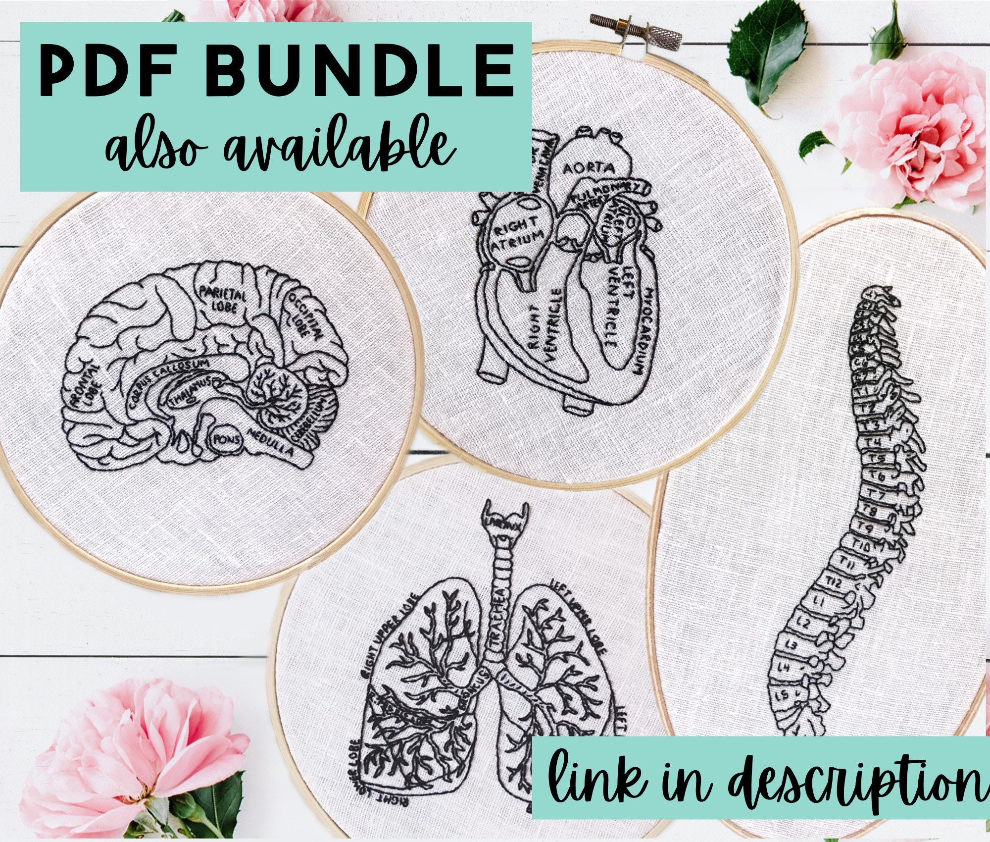 Intestines Anatomy Embroidery Pattern, Intestinal Anatomy, Medical ...
