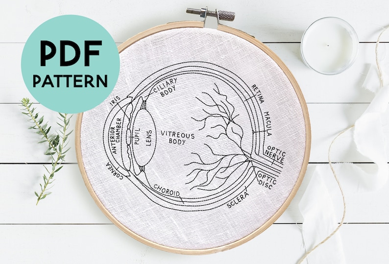 DIY Eye Anatomy Embroidery Pattern, Eyeball Pattern, Optometrist Embroidery Gift, Ophthalmologist Gift, Eye Anatomy Art, Digital Download image 1
