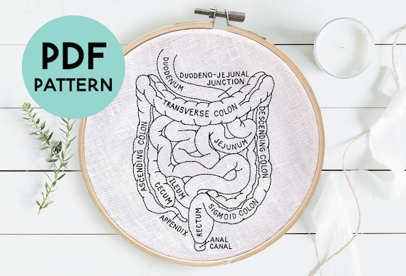 Intestines Anatomy Embroidery Pattern Intestinal Anatomy - Etsy