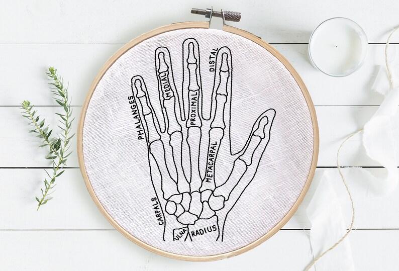 May include: A black and white line drawing of the bones in a human hand, embroidered on a white fabric stretched in a wooden embroidery hoop. The bones are labeled with anatomical terms, including "phalanges", "proximal", "distal", "metacarpal", "carpals", "ulna", and "radius".