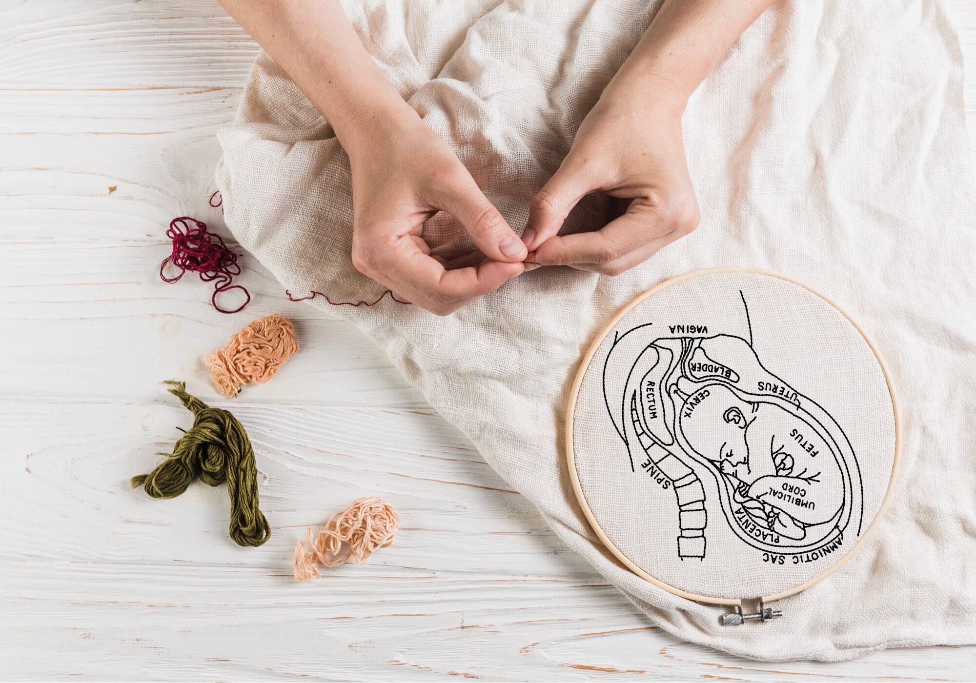 Diy pregnancy anatomy embroidery fetus in utero sybju pdf  etsy Diy pregnancy anatomy embroidery fetus in utero sybju pdf  etsy