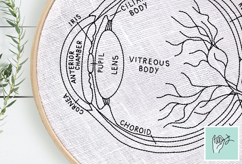 DIY Eye Anatomy Embroidery Pattern, Eyeball Pattern, Optometrist Embroidery Gift, Ophthalmologist Gift, Eye Anatomy Art, Digital Download image 3