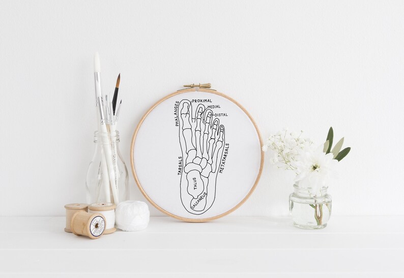 May include: A black and white line drawing of the bones in a human foot, labeled with anatomical terms, is displayed in a wooden embroidery hoop. The hoop is on a white surface with a vase of white flowers and a jar of paintbrushes.
