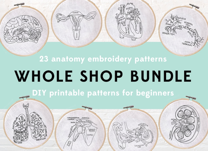 23 Anatomy Embroidery Patterns, Embroidery Pattern Bundle, Medical Patterns, Medical Embroidery, Anatomy Patterns, Whole Shop Bundle Digital image 1