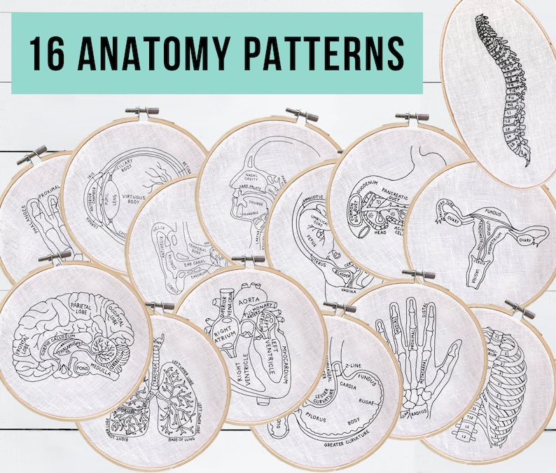 Pode incluir: 16 padr&otilde;es de bordado para aro que apresentam ilustra&ccedil;&otilde;es anat&ocirc;micas do corpo humano. Os padr&otilde;es incluem o c&eacute;rebro, o cora&ccedil;&atilde;o, os pulm&otilde;es, a coluna vertebral, a m&atilde;o e muito mais.