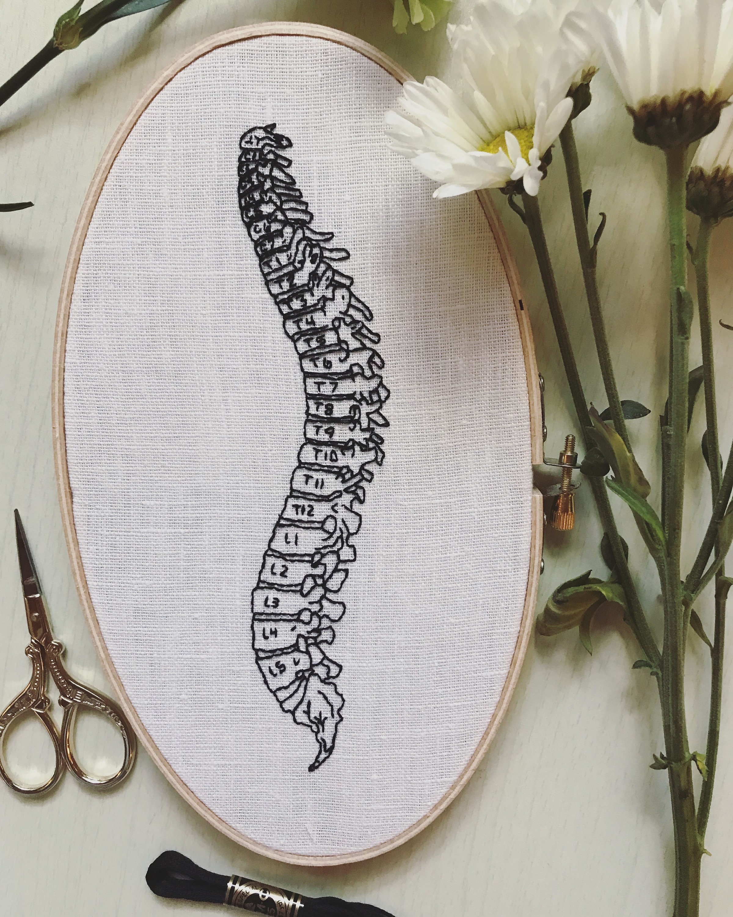 Spine Embroidery Pattern Chiropractor Embroidery DIY Nurse Etsy