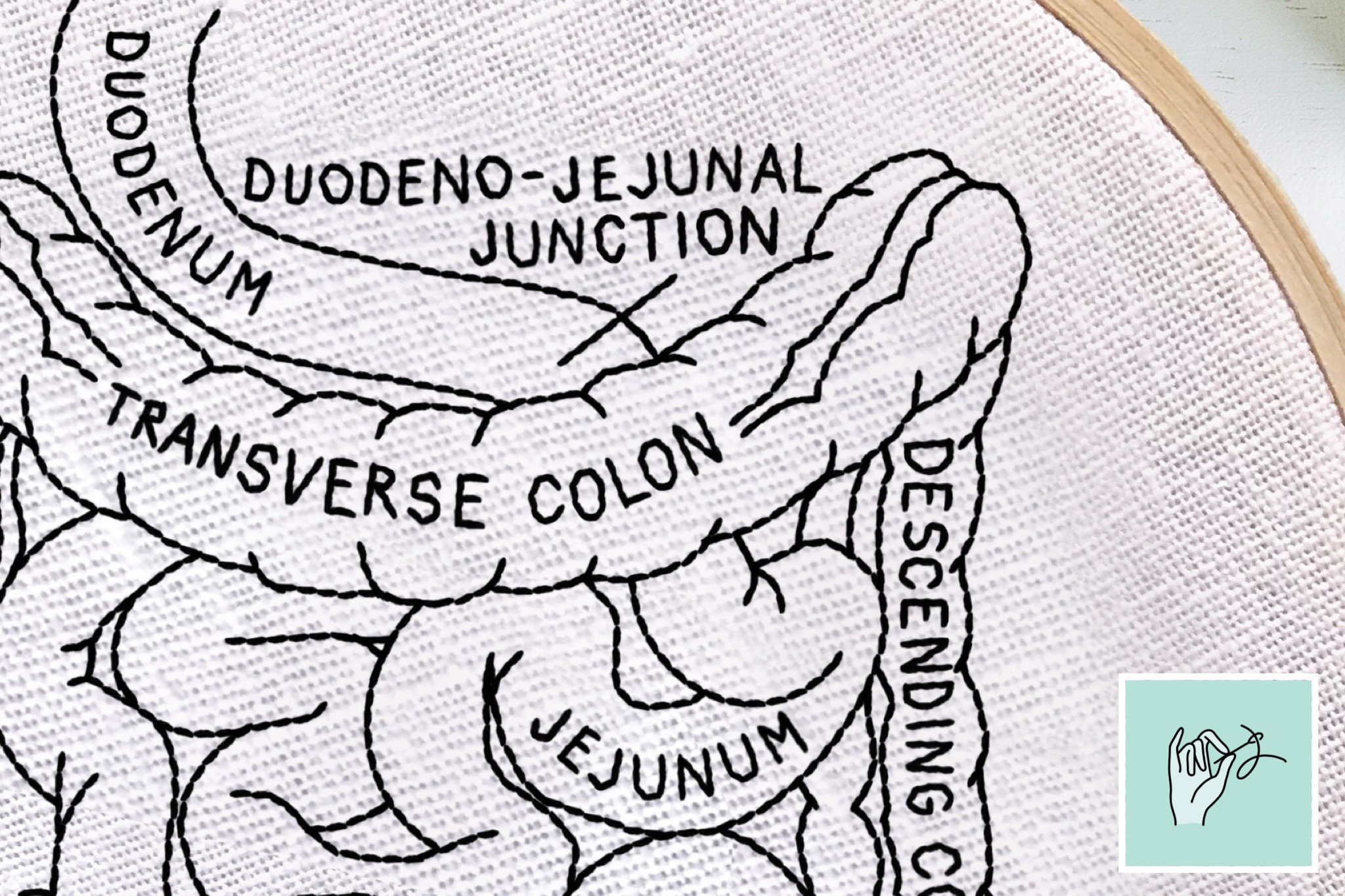 Instestine Pattern Intestines Anatomy Embroidery Pattern, Intestinal Anatomy, Medical ...