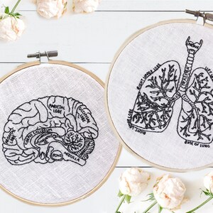 Pode incluir: Dois aros de bordado com tecido branco e bordado preto. Um aro mostra uma ilustra&ccedil;&atilde;o anat&ocirc;mica detalhada do c&eacute;rebro humano com partes etiquetadas. O outro aro mostra uma ilustra&ccedil;&atilde;o anat&ocirc;mica detalhada dos pulm&otilde;es humanos com partes etiquetadas.