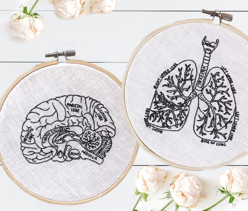 Pode incluir: Dois aros de bordado com tecido branco e bordado preto. Um aro mostra uma ilustra&ccedil;&atilde;o anat&ocirc;mica detalhada do c&eacute;rebro humano com partes etiquetadas. O outro aro mostra uma ilustra&ccedil;&atilde;o anat&ocirc;mica detalhada dos pulm&otilde;es humanos com partes etiquetadas.