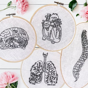 23 Anatomy Embroidery Patterns, Embroidery Pattern Bundle, Medical Patterns, Medical Embroidery, Anatomy Patterns, Whole Shop Bundle Digital image 2