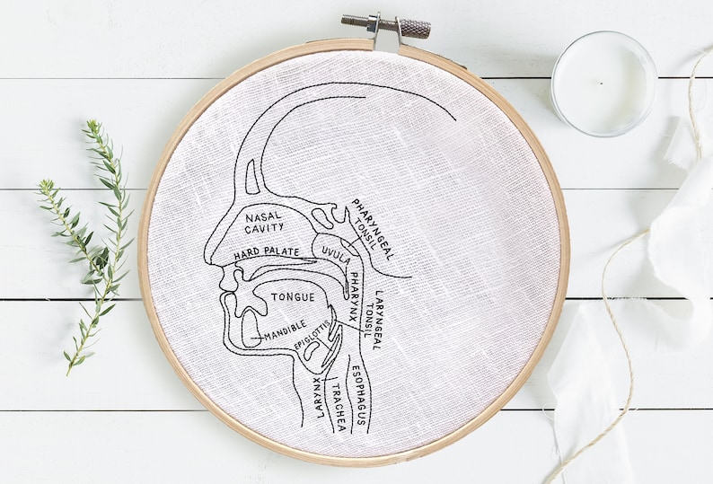 Puede incluir: Un dibujo en blanco y negro de la garganta y la boca humanas, etiquetado con t&eacute;rminos anat&oacute;micos como "cavidad nasal", "paladar duro", "&uacute;vula", "lengua", "faringe", "am&iacute;gdala far&iacute;ngea", "es&oacute;fago" y "tr&aacute;quea". El dibujo est&aacute; bordado en una tela blanca estirada sobre un aro de bordado de madera.