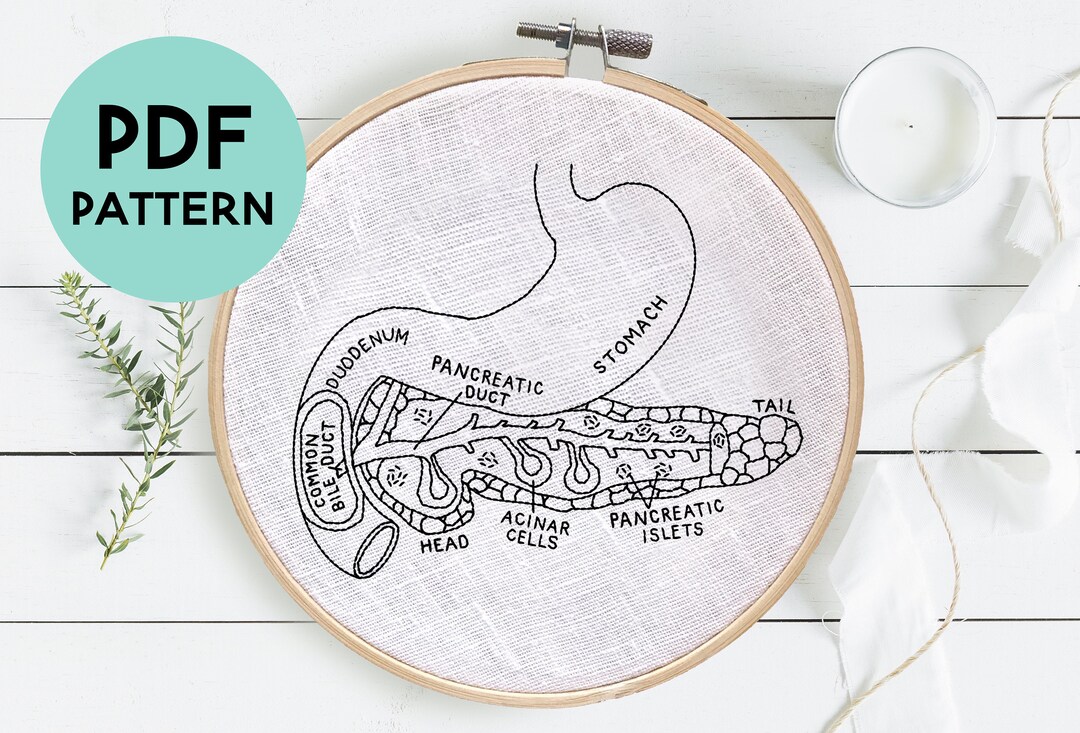 DIY Pancreas Embroidery Pattern, Pancreas Anatomy Art, Medical ...