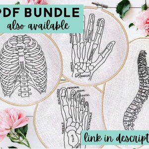 May include: Four embroidery hoops with black line drawings of the human skeleton, including the rib cage, hand, foot, and spine. The hoops are on a white surface with pink flowers.
