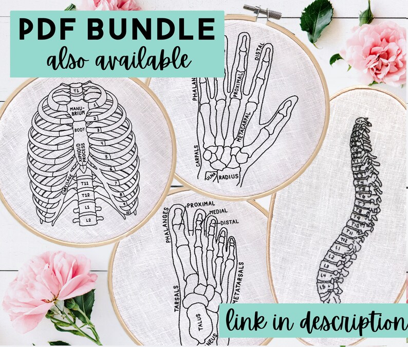 May include: Four embroidery hoops with black line drawings of the human skeleton, including the rib cage, hand, foot, and spine. The hoops are on a white surface with pink flowers.