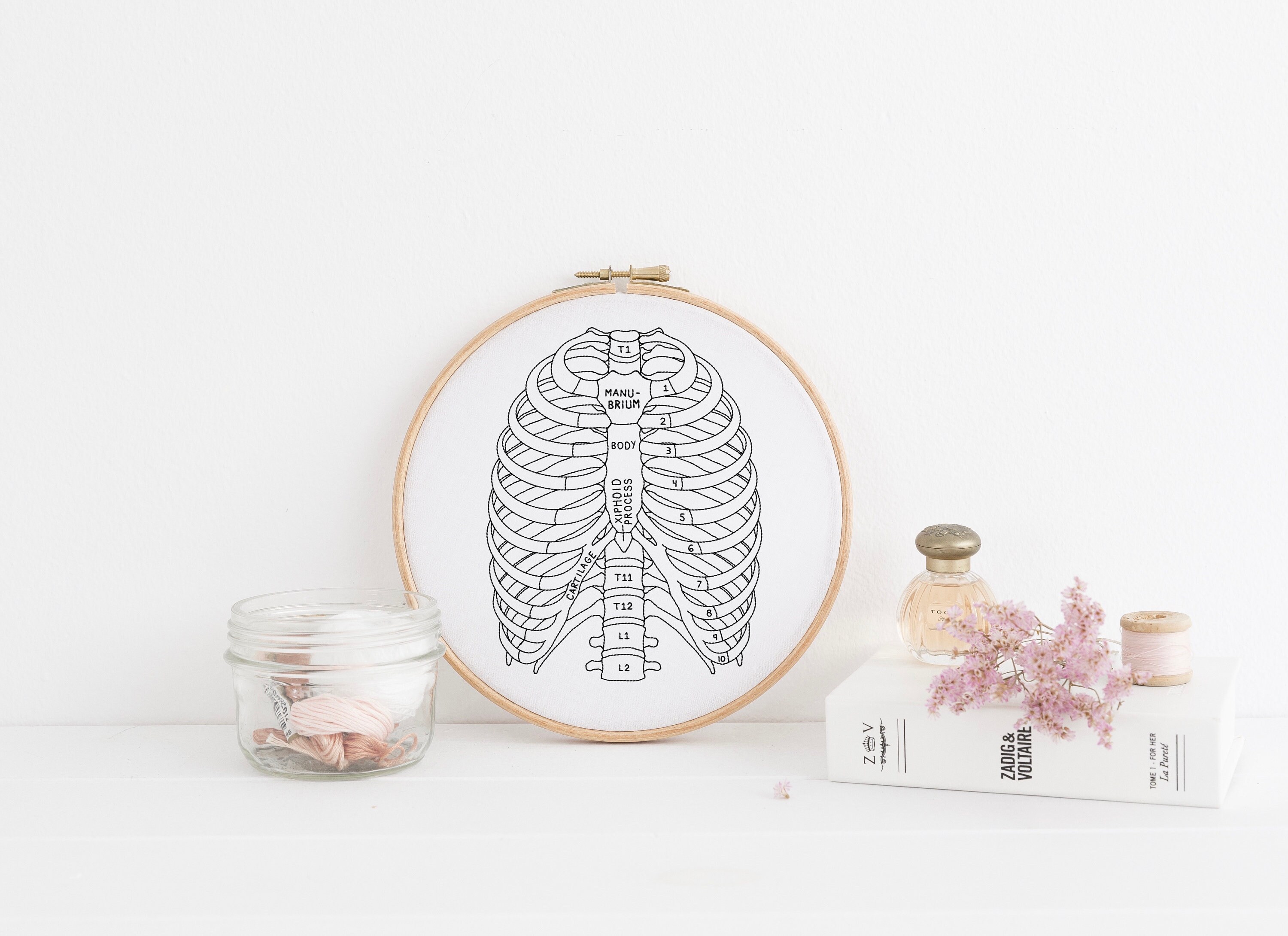 Ribs DIY Embroidery Pattern Ribs Anatomy Pattern Medical | Etsy
